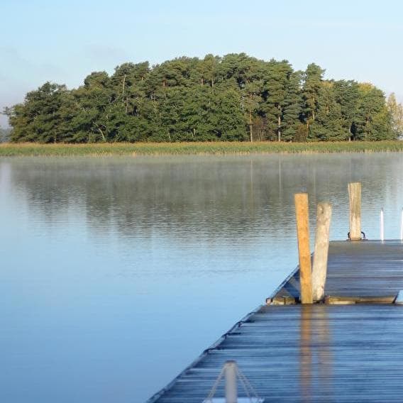 Une petite baignade ?