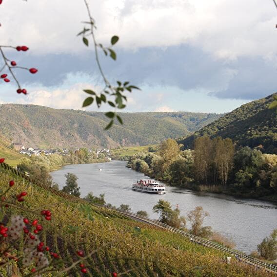 Le chemin de la Moselle