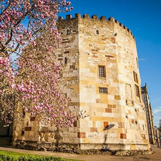 Une tour, un musée ou un donjon ? - 1
