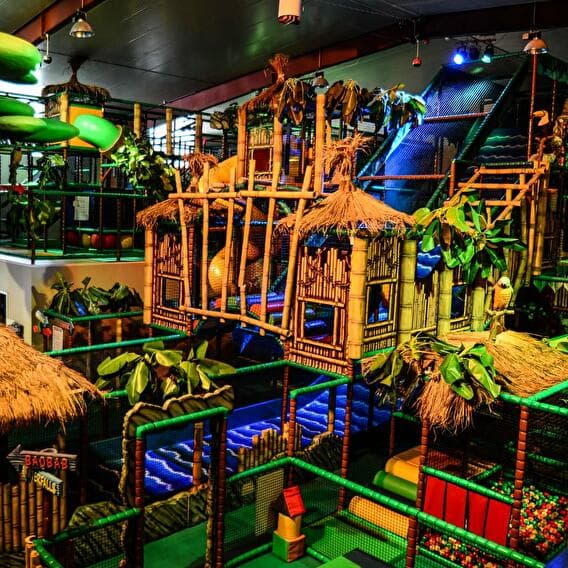 Venture into the jungle! - 1