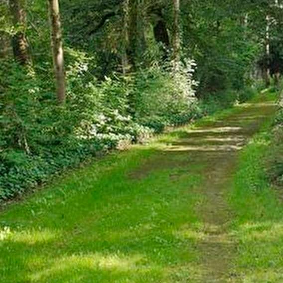 Faut courir pour le croire