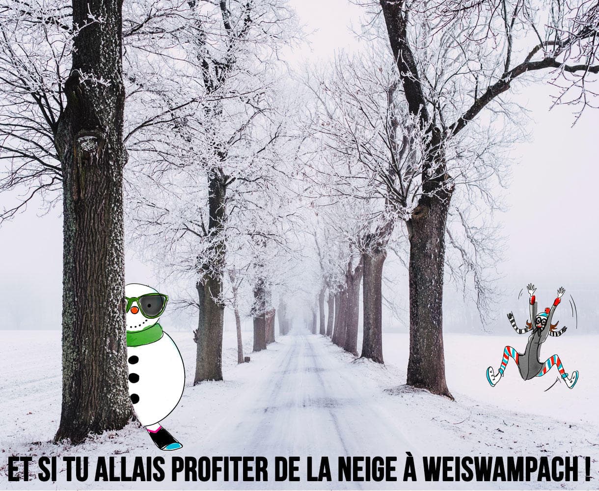 Et si tu allais profiter de la neige à Weiswampach !