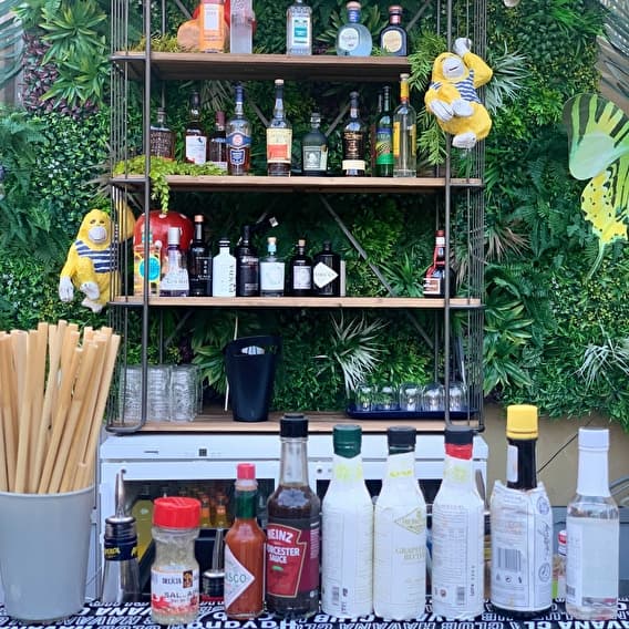 News media