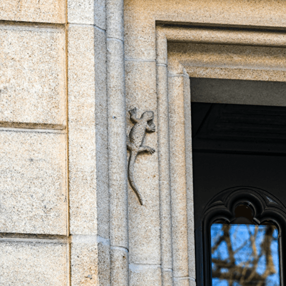 News media