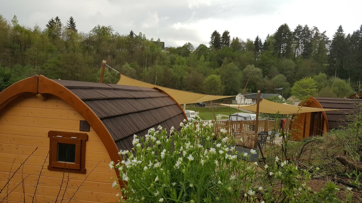 Kaul outdoor swimming pool surrounded by nature in Wiltz - 7