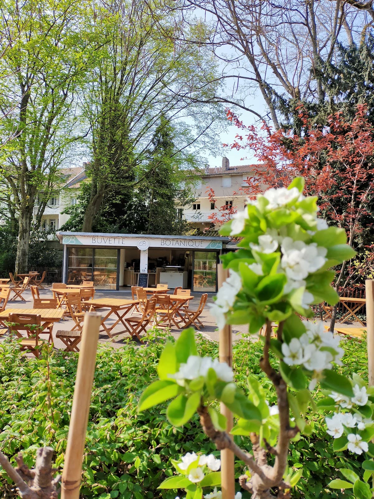 Metz’s chillest drink spot - 7