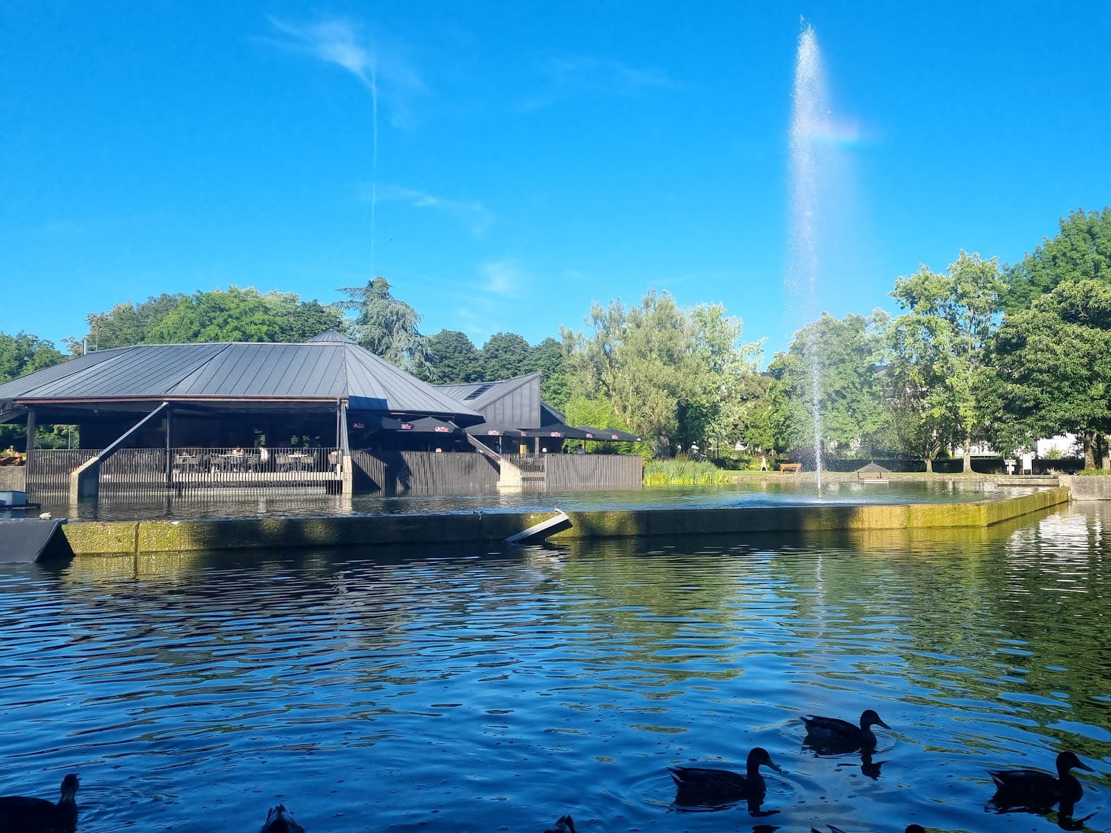 Le Pavillon, restaurant au bord de l'eau au Parc de Merl - 5