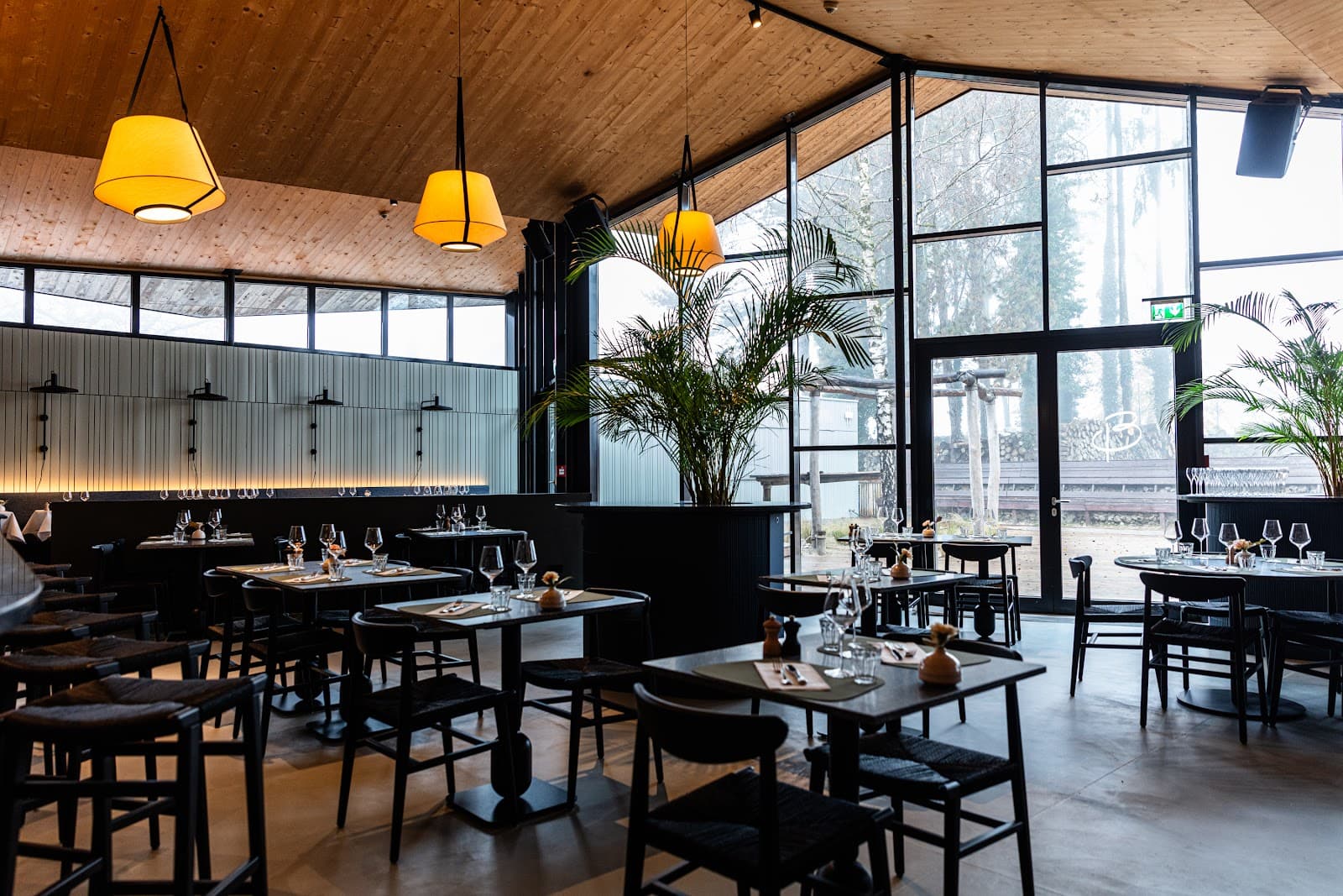 La Brasserie en lisière de forêt - 4