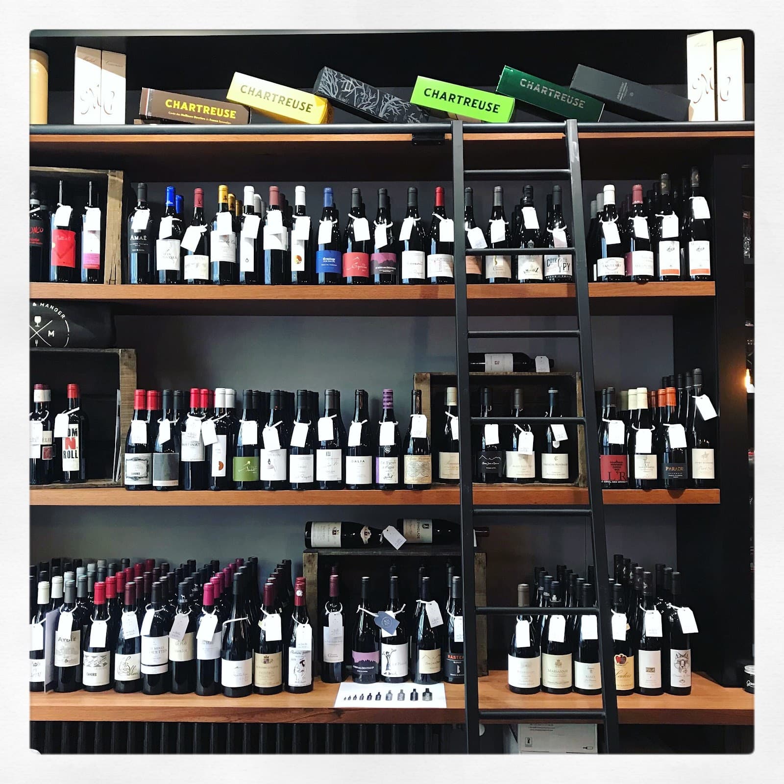 A shock duo - 2