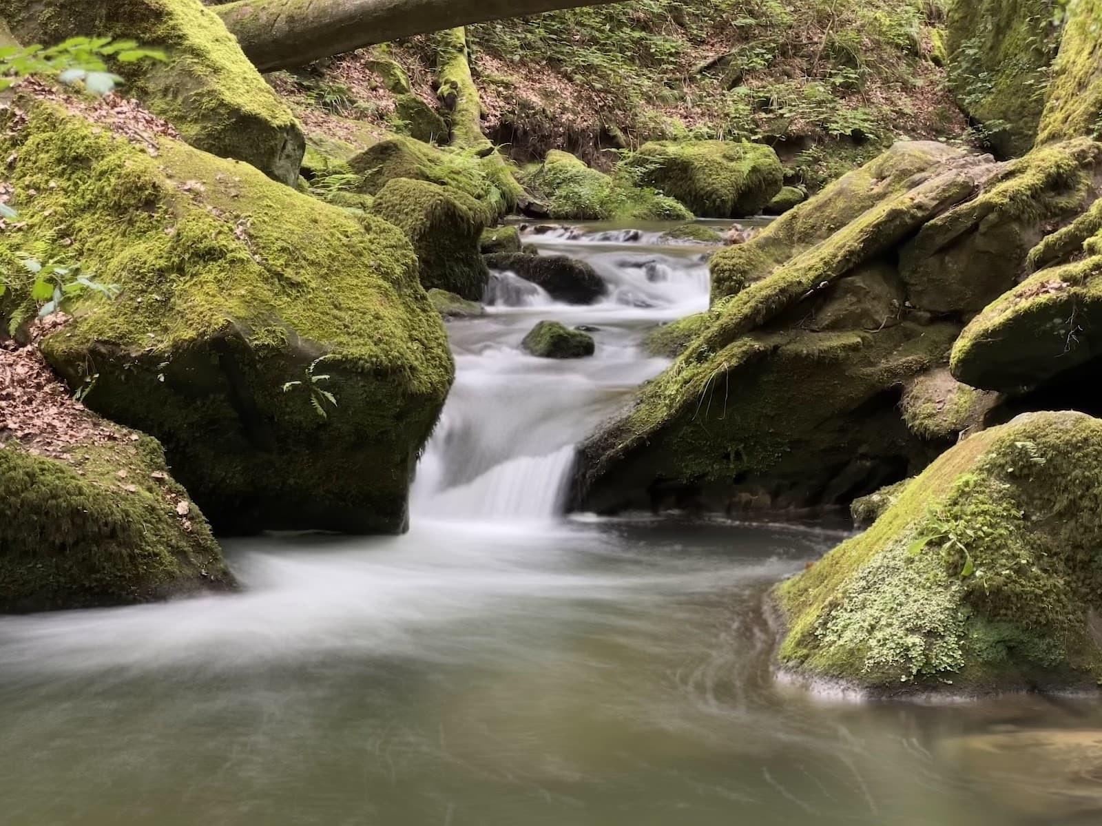 Medernach à Larochette : Entre nature et château - 6