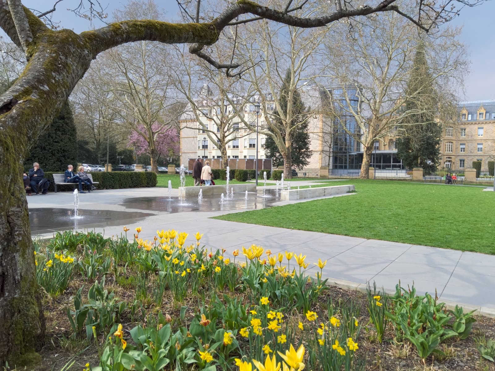 Under the trees of Pescatore Park - 2