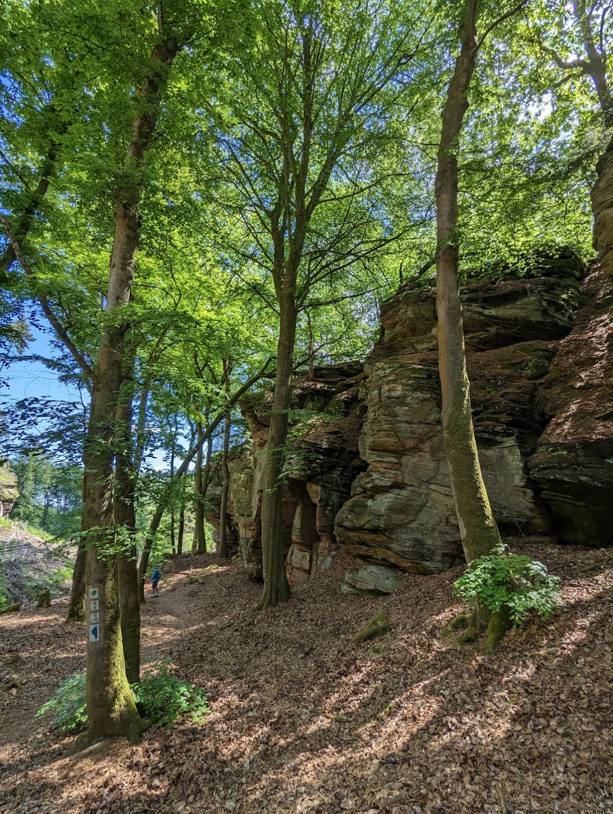 Medernach à Larochette : Entre nature et château - 5