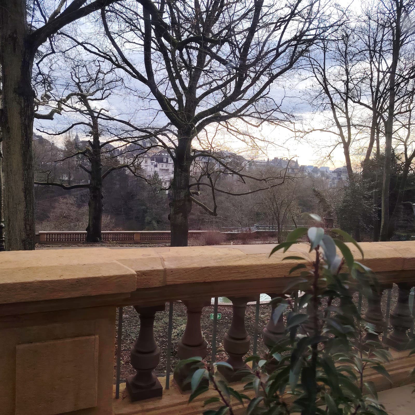 Brasserie Ciel, pause gourmande sous une verrière - 10