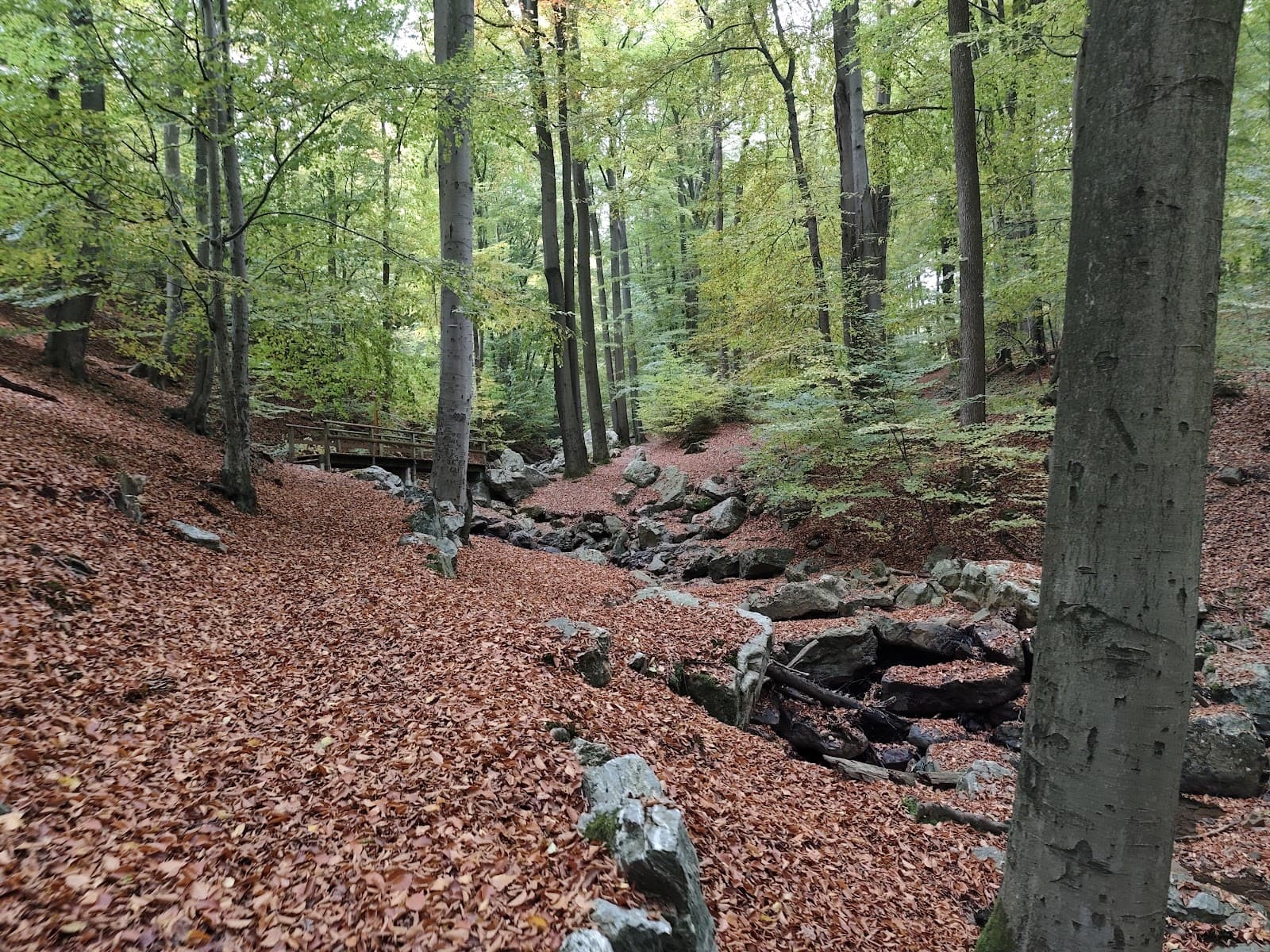 Medernach à Larochette : Entre nature et château - 9