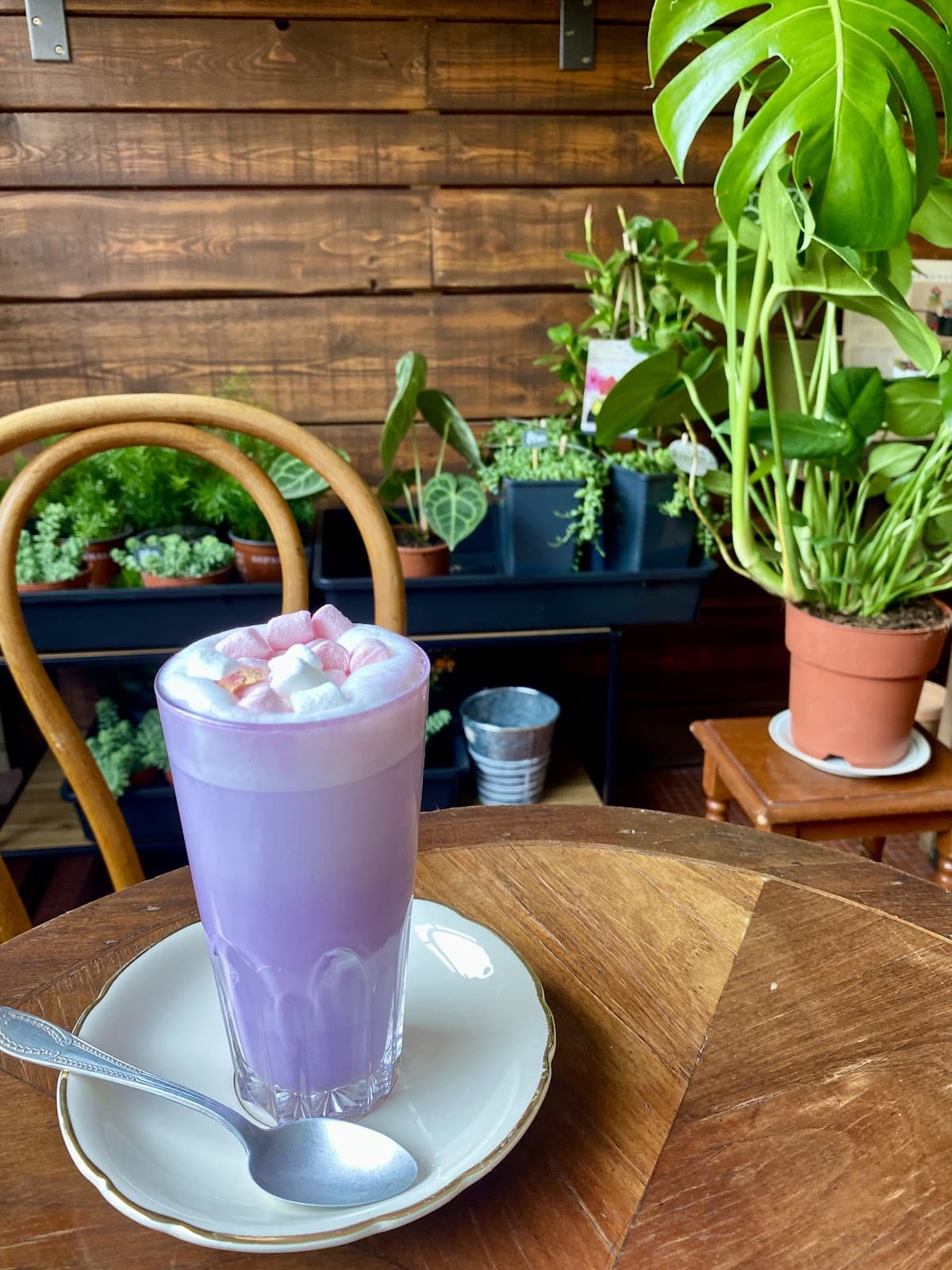 One of our favorite cafes in Luxembourg: Holy Ghost Garden - 3
