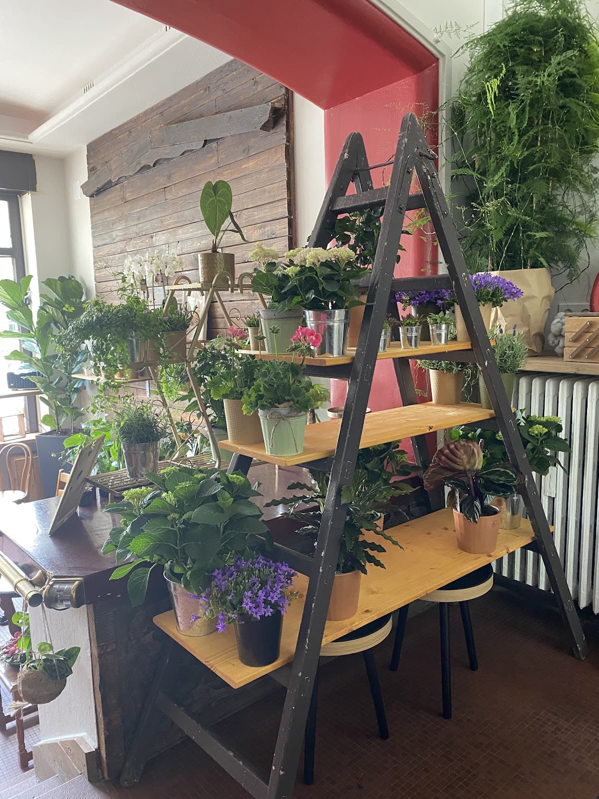 One of our favorite cafes in Luxembourg: Holy Ghost Garden - 2
