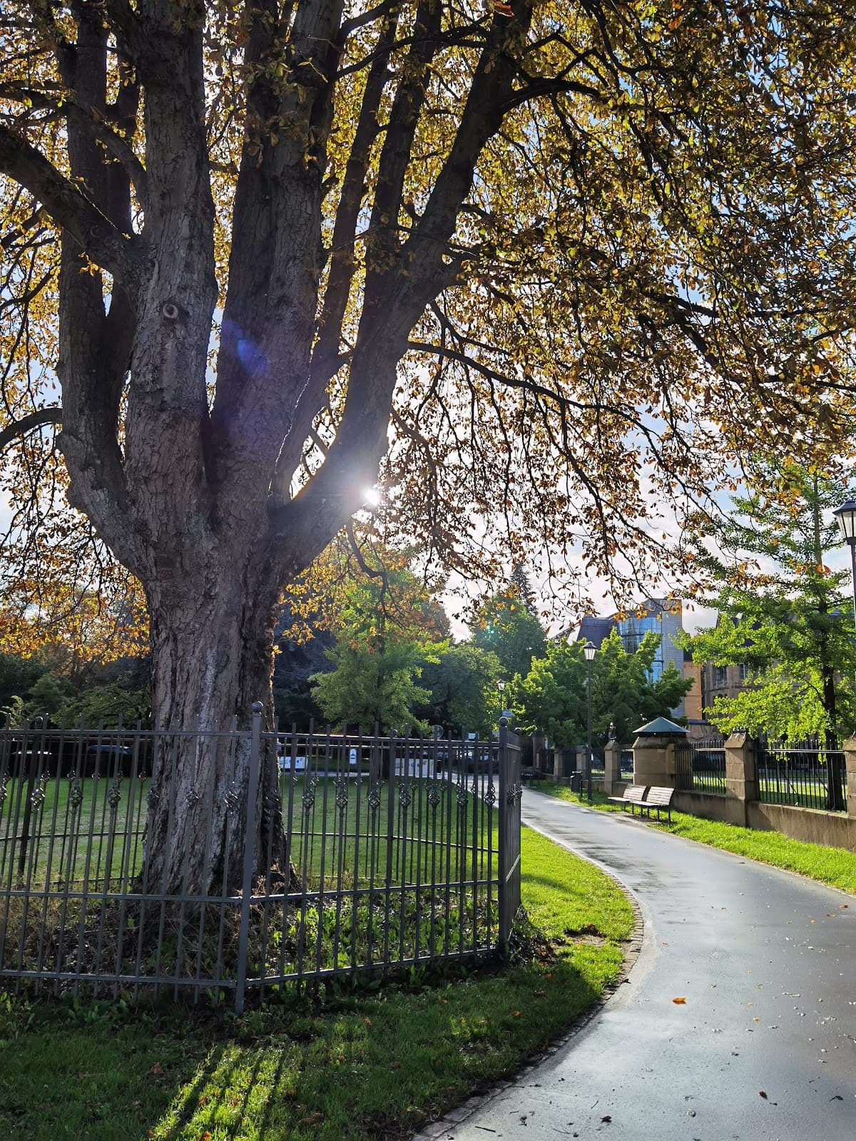 Under the trees of Pescatore Park - 10