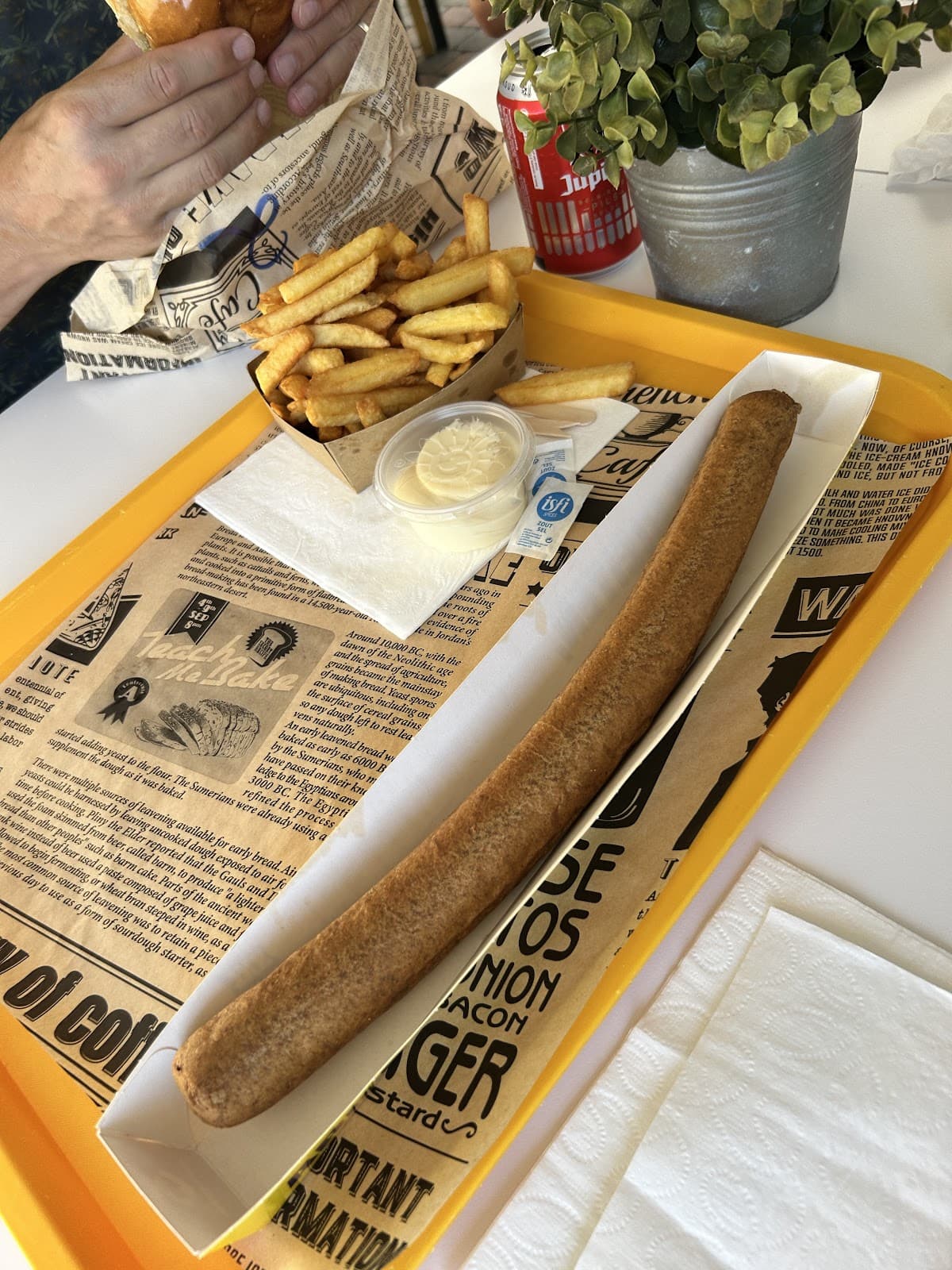 La frite voyageuse - 11