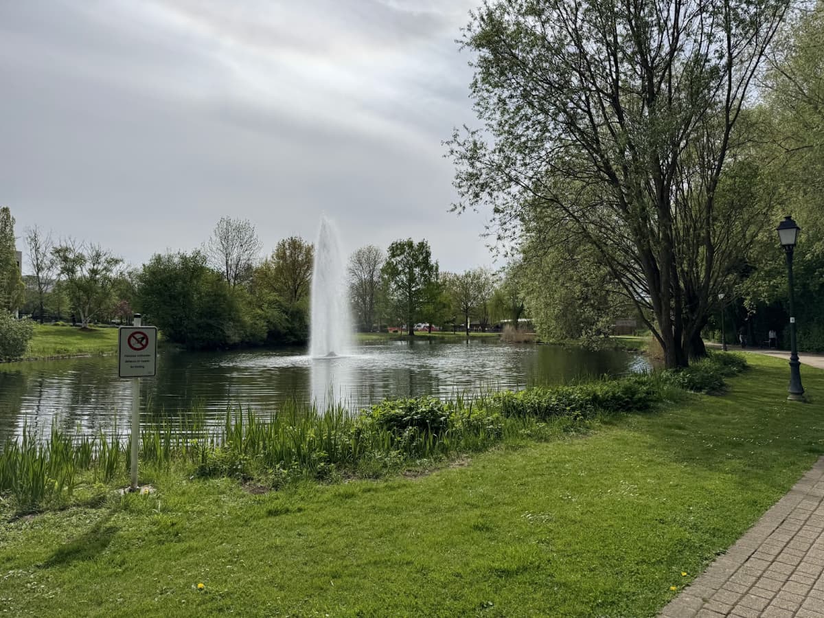 Parc municipal à deux pas de la ville - 9