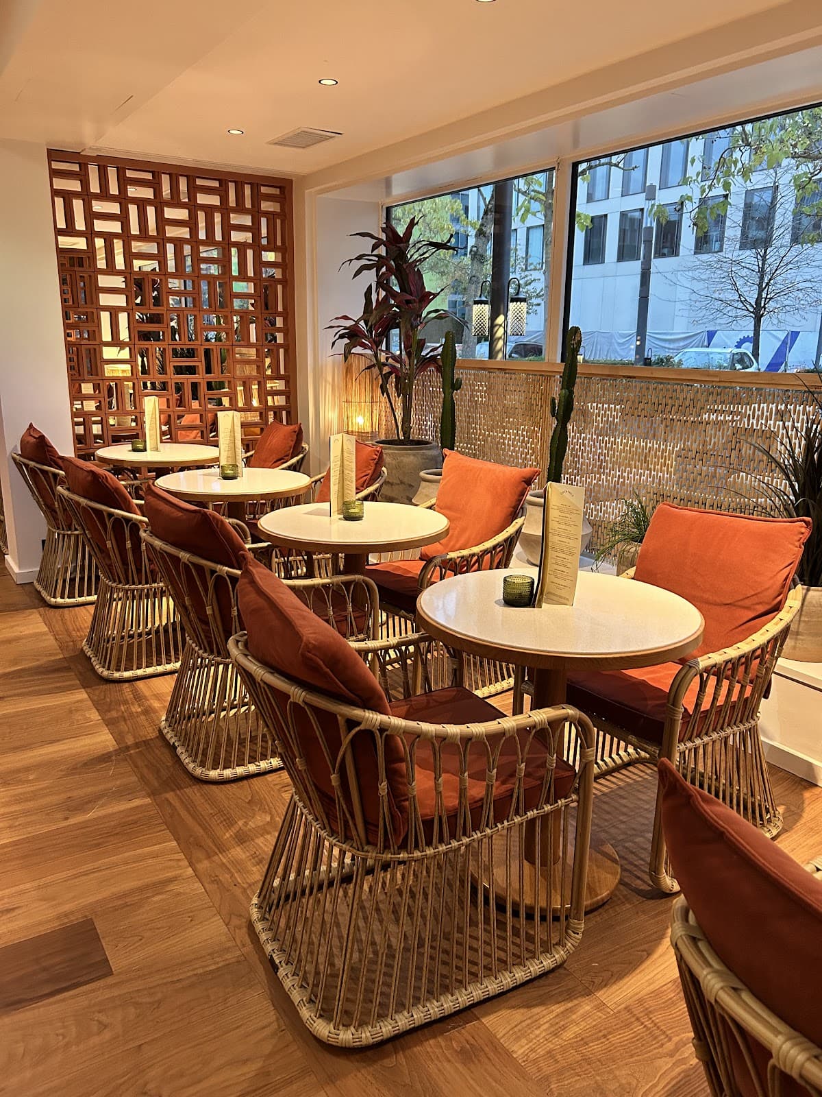 Junco: the Mediterranean restaurant in Kirchberg - 10