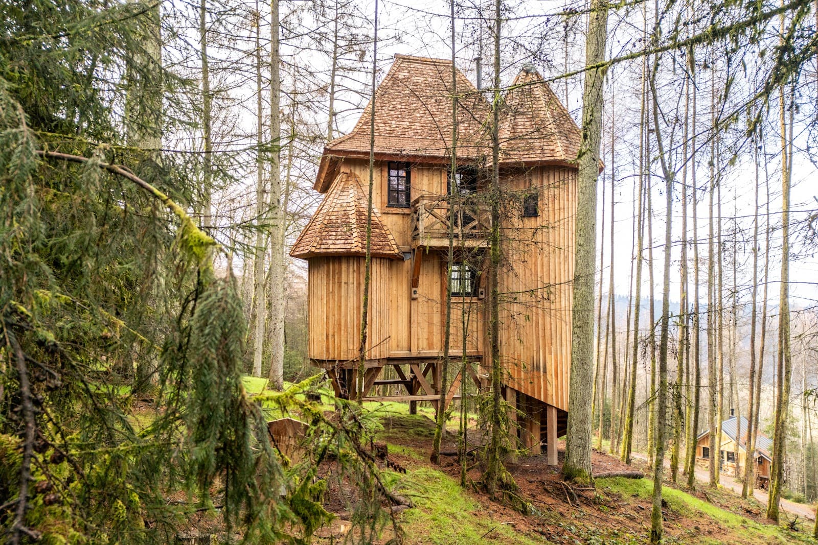 Sleeping in a super cozy cabin - 11