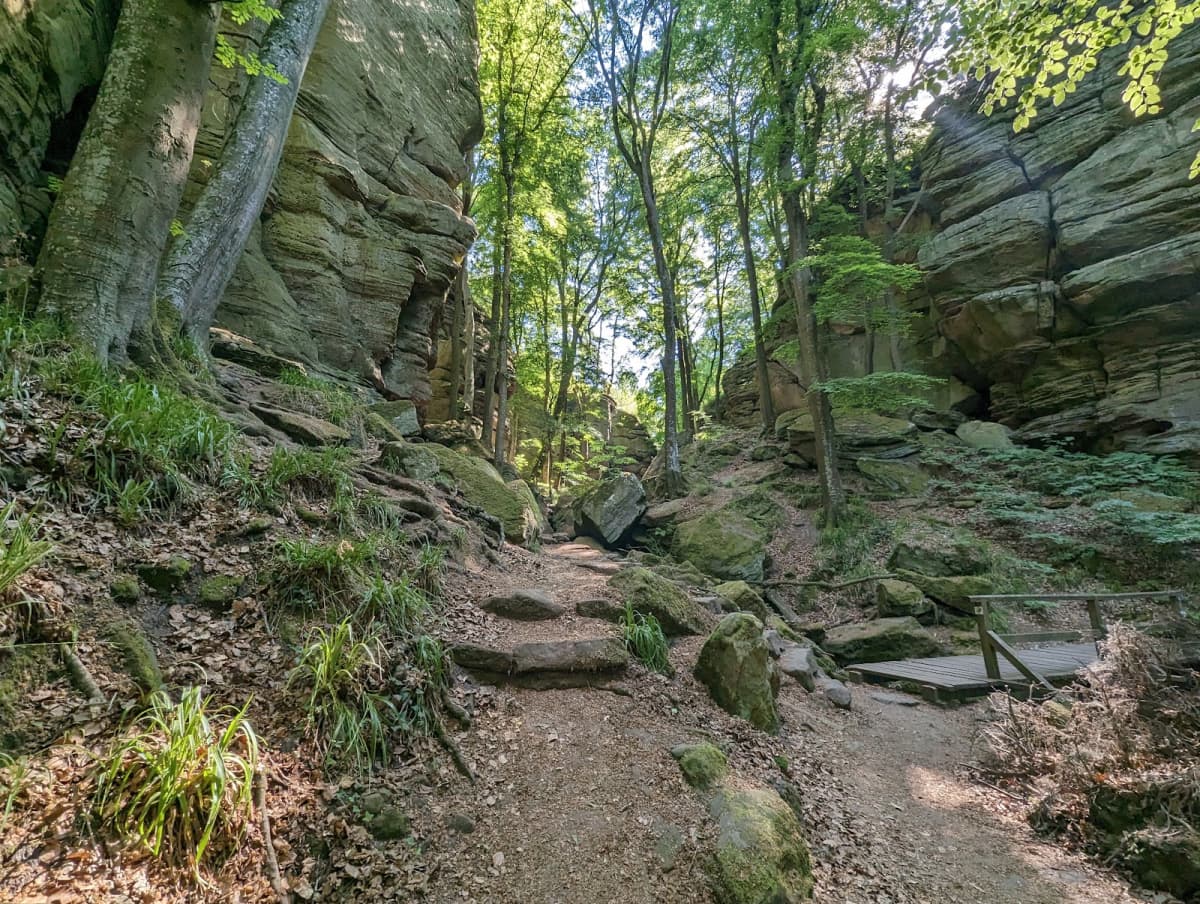 Medernach à Larochette : Entre nature et château - 8