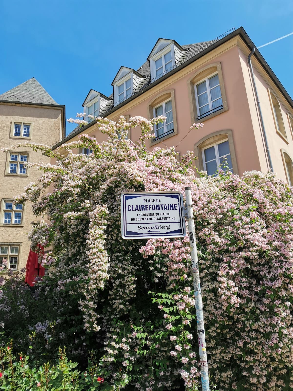 Institution gastronomique luxembourgeoise - 10