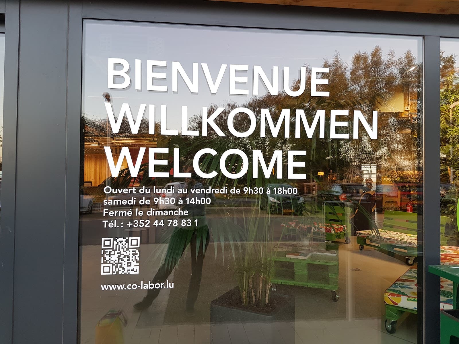 La véritable épicerie Bio - 2