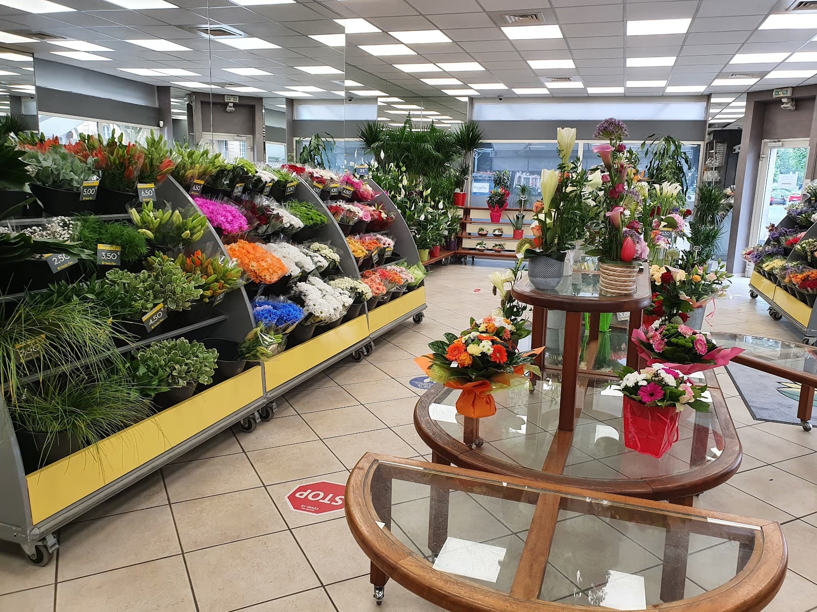 Planète Fleur à Thionville, fleurs et bouquets sur mesure - 3