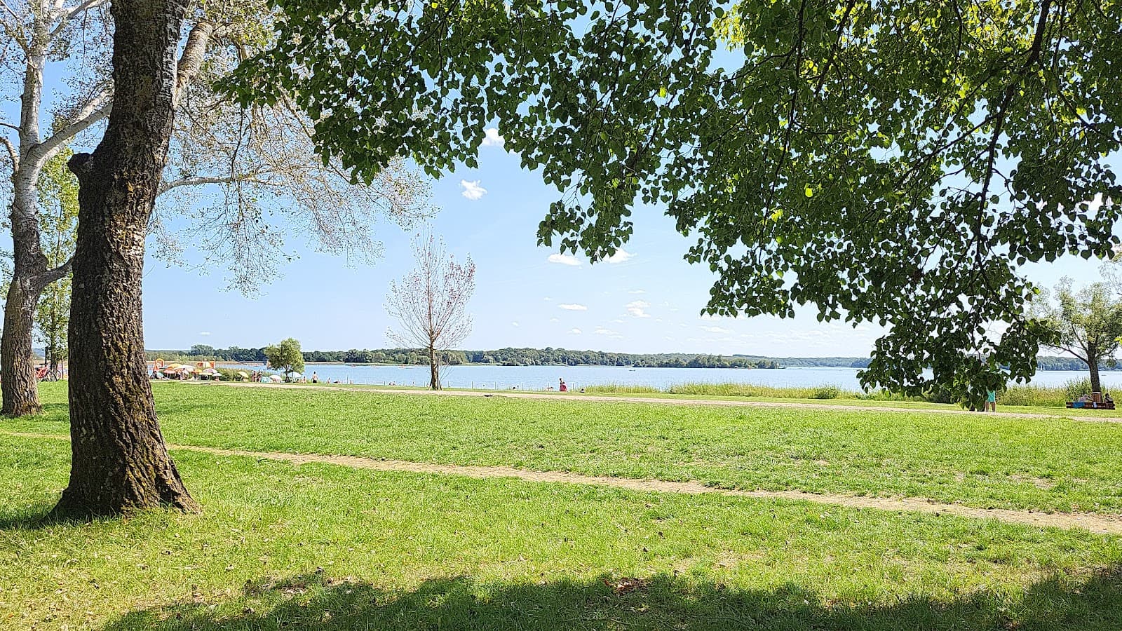 Swimming, fishing, paddle and cycling at Lake Madine - 10