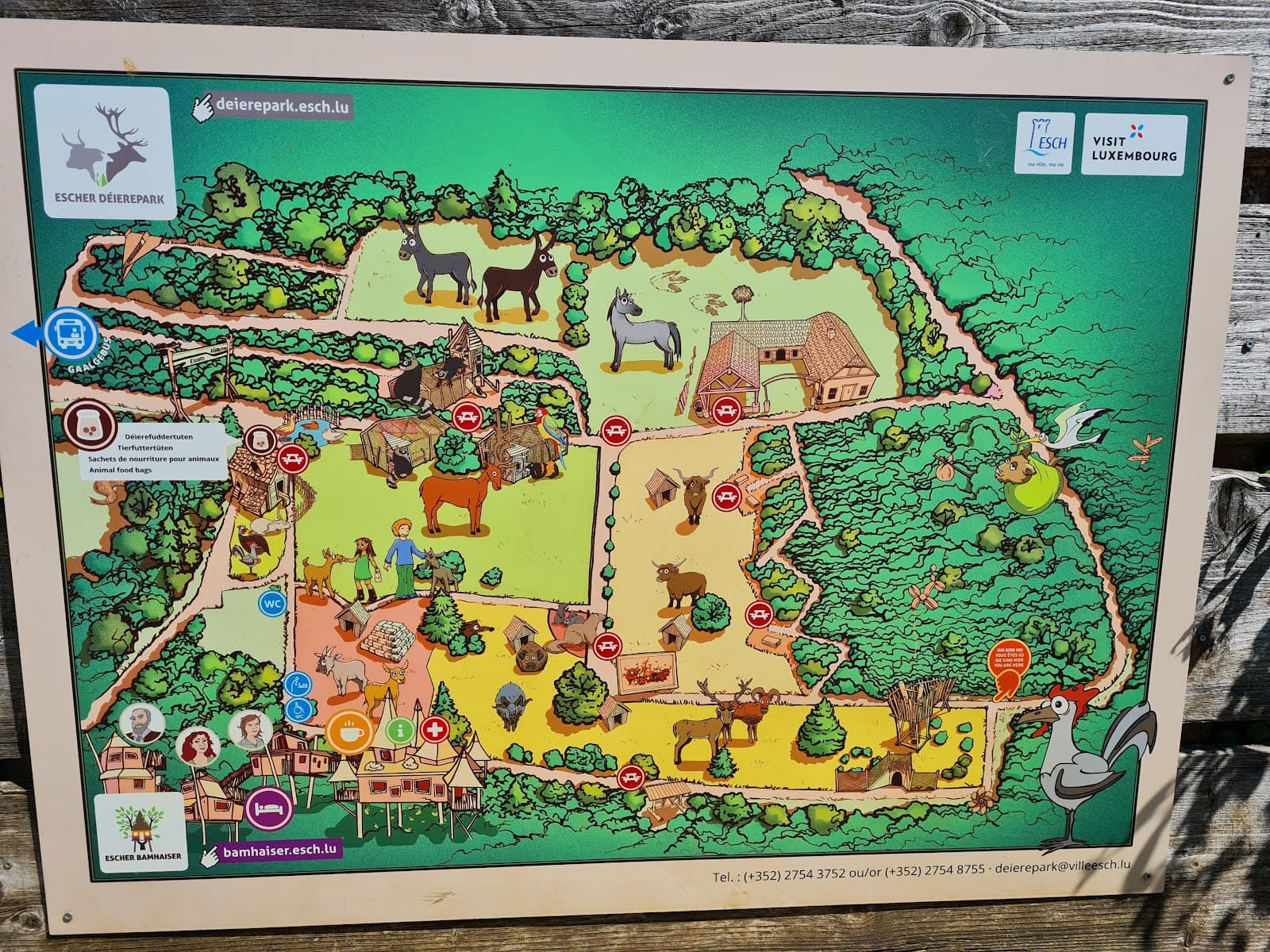 Escher Déierepark : parc animalier gratuit à Esch-sur-Alzette - 2