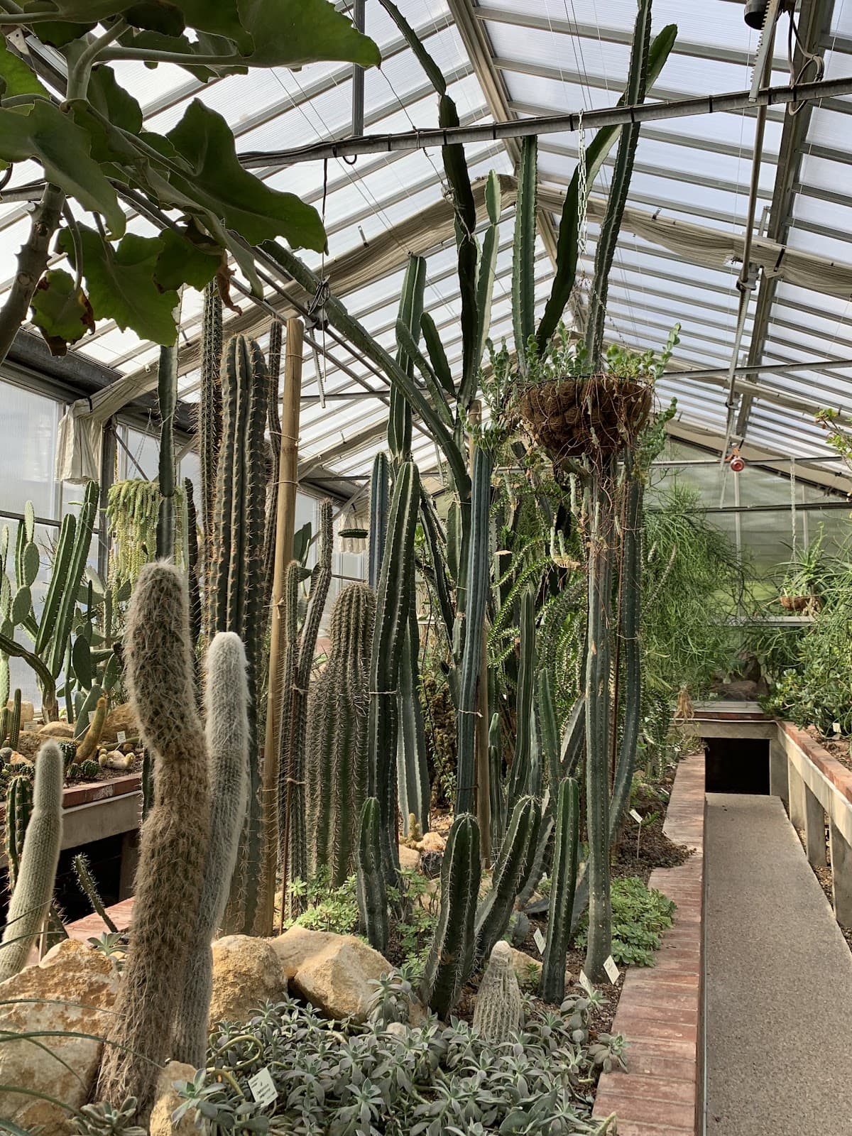 Study the super plants! - 9