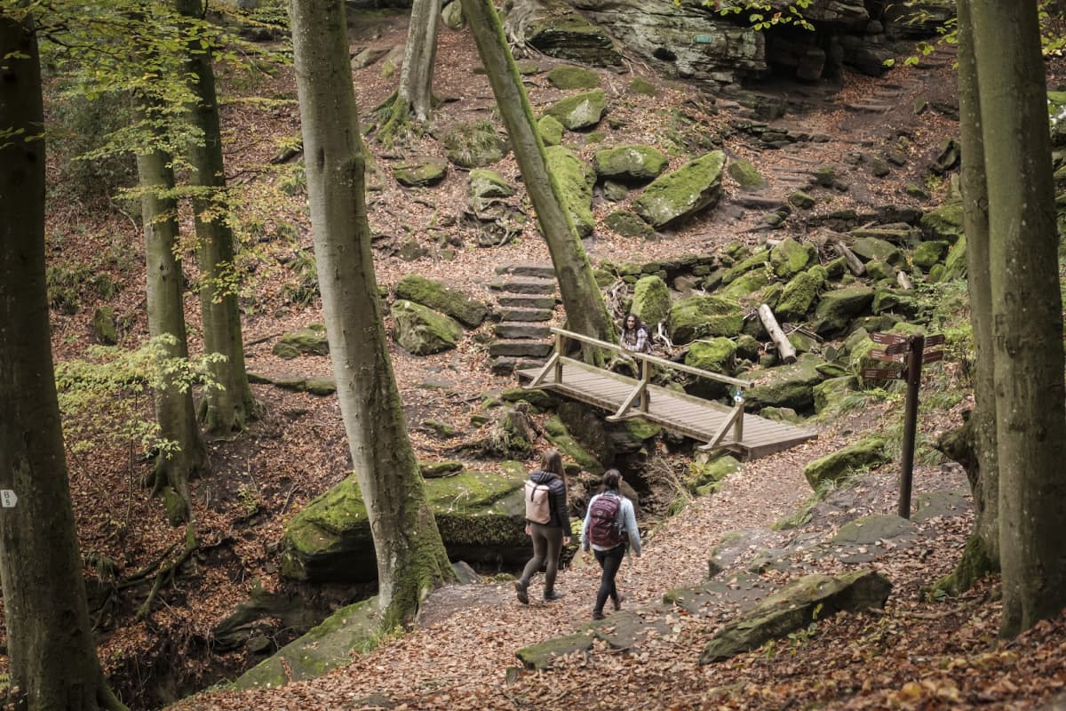 Medernach in Larochette: Between nature and castle - 2