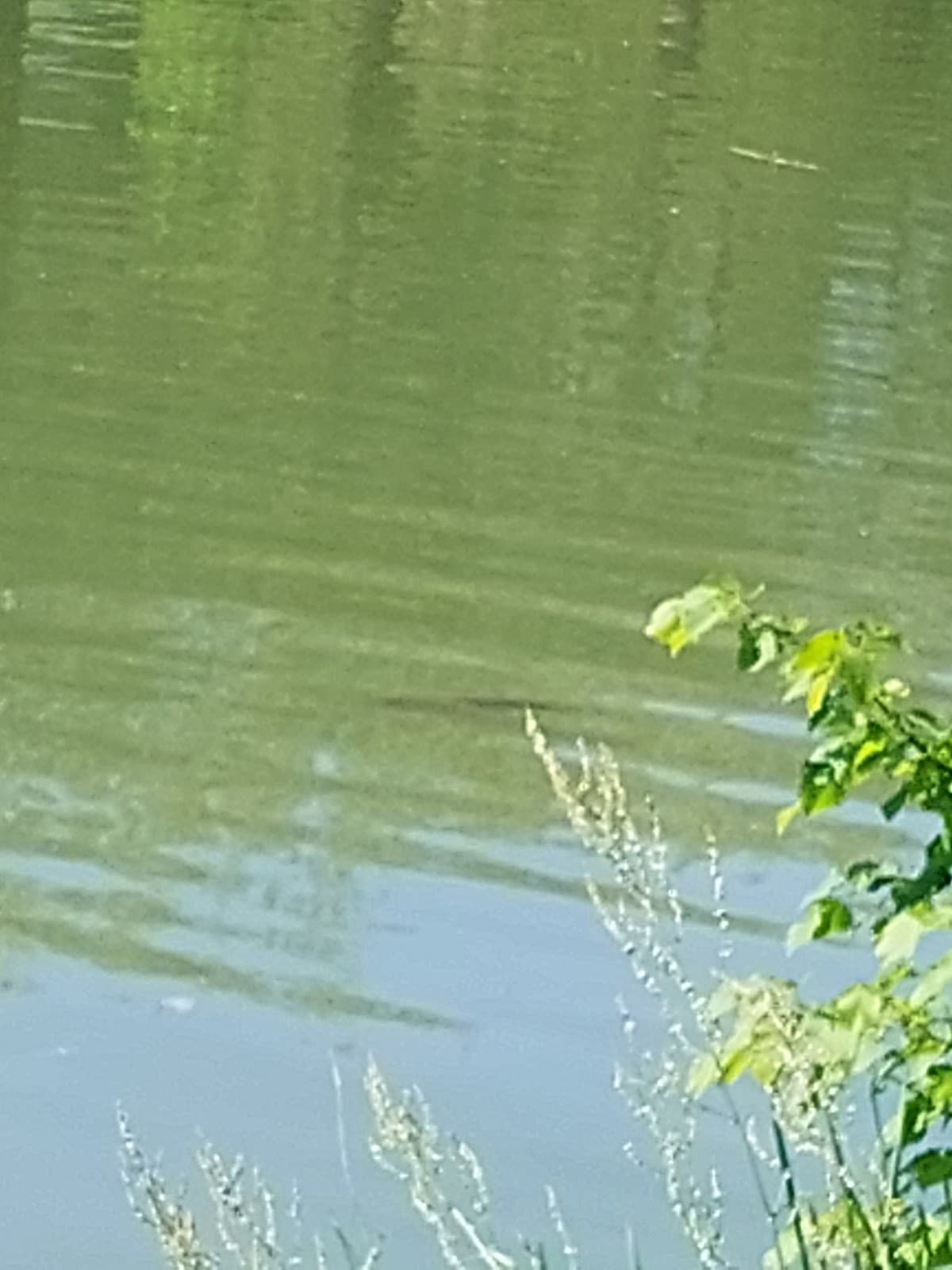 Lake Conchibois is the perfect place to take a dip. - 10