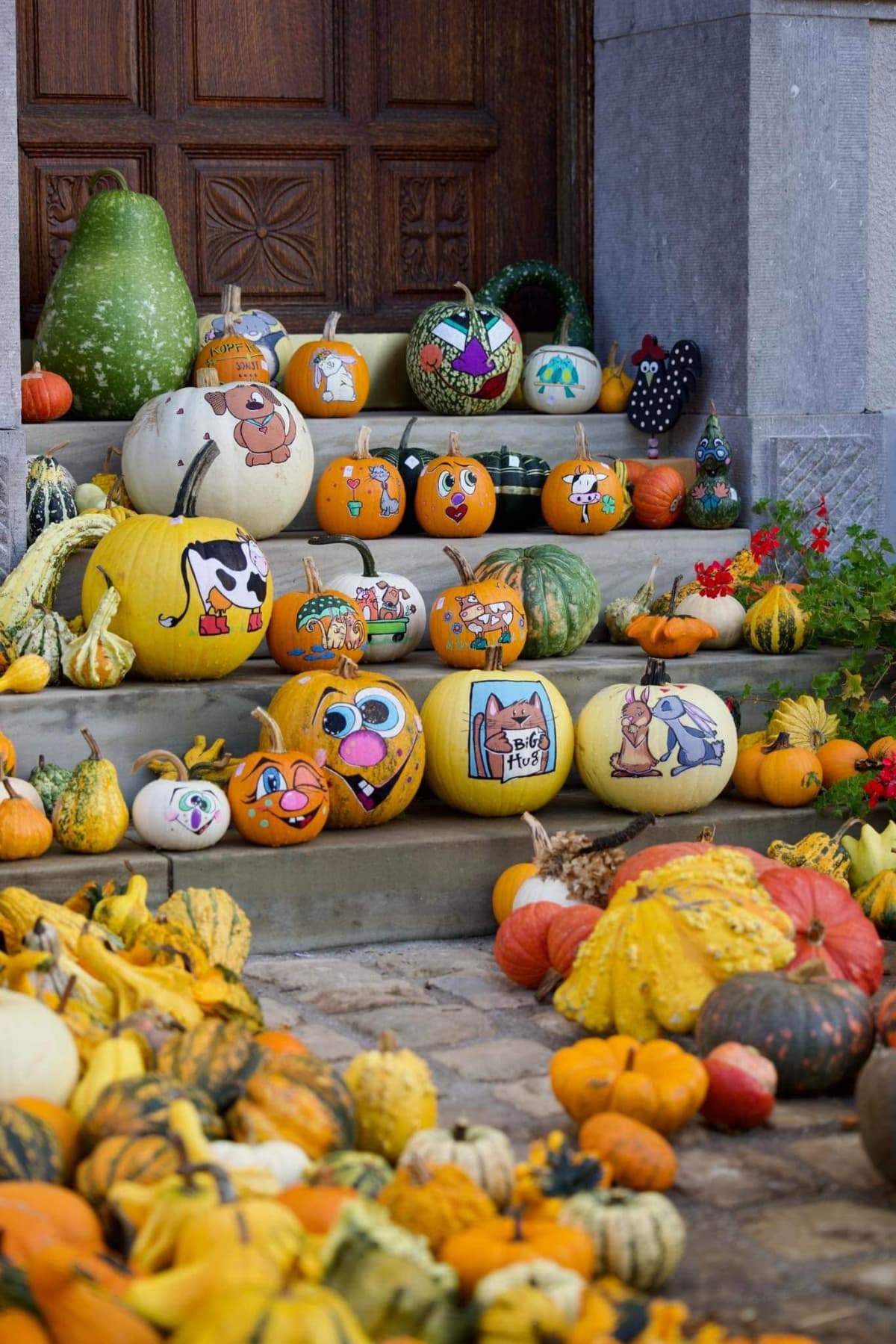 Halloween approche : déniche ta citrouille ! - 5