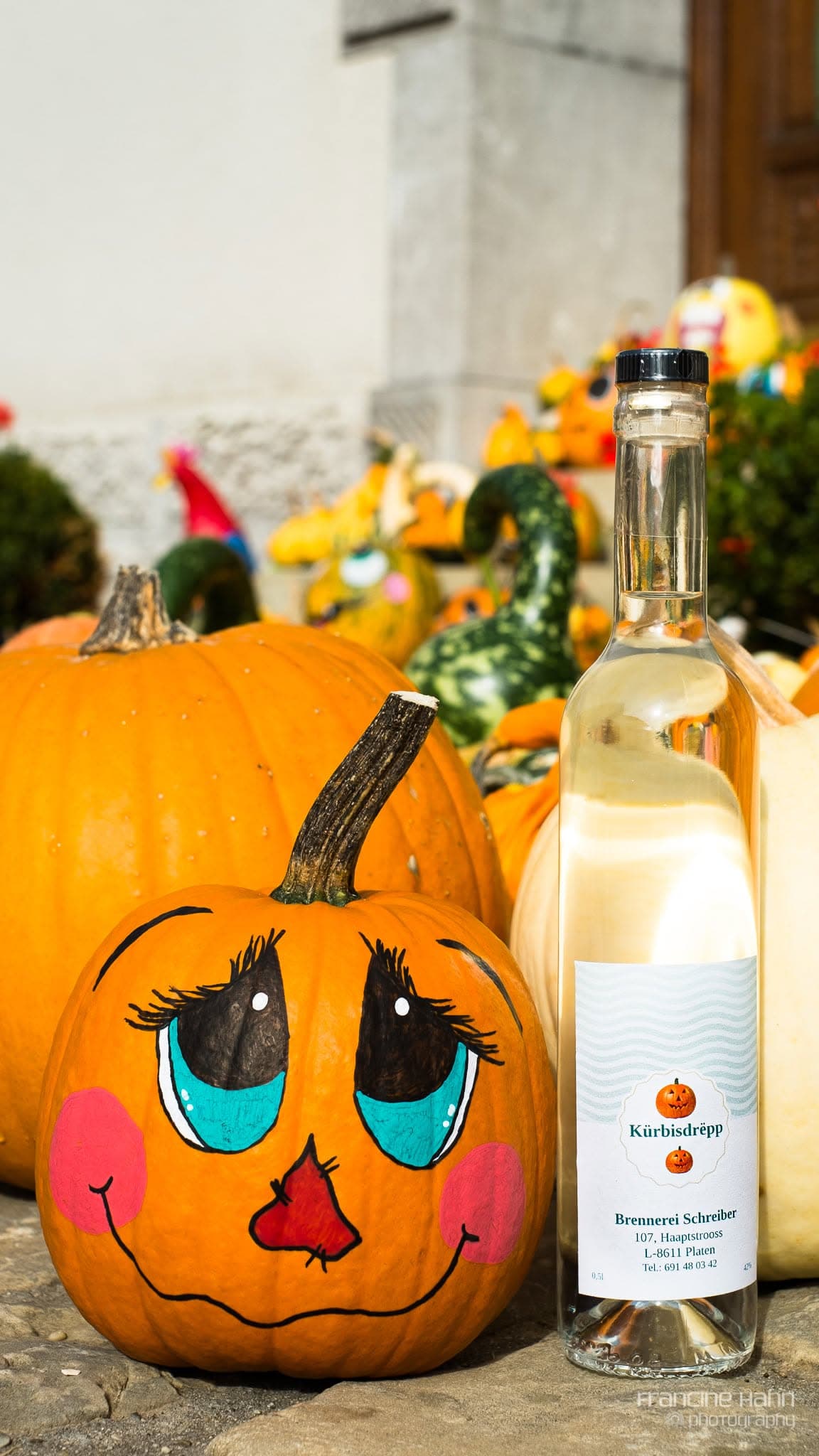 Halloween approche : déniche ta citrouille ! - 6