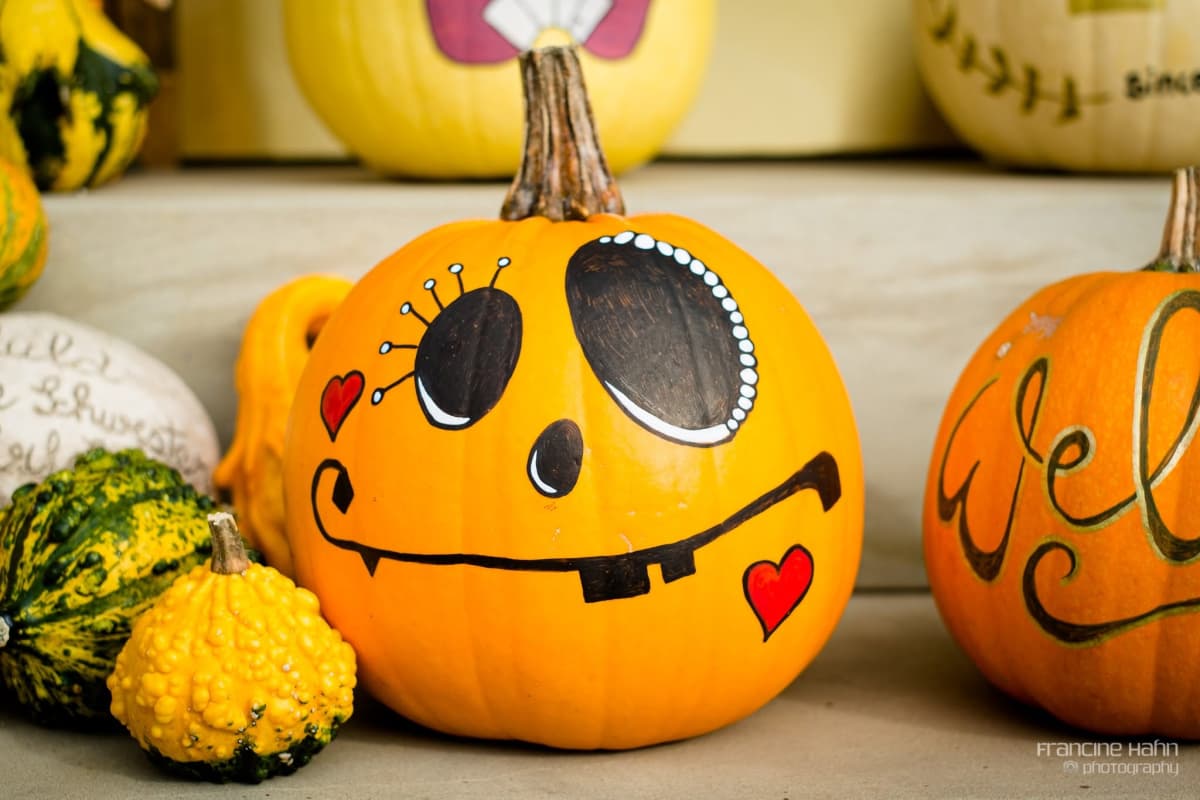 Halloween approche : déniche ta citrouille ! - 5