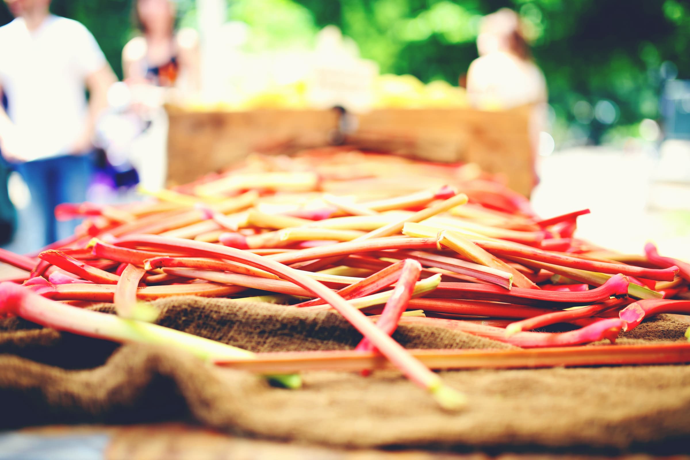 Animation d’été au Musée Thillenvogtei