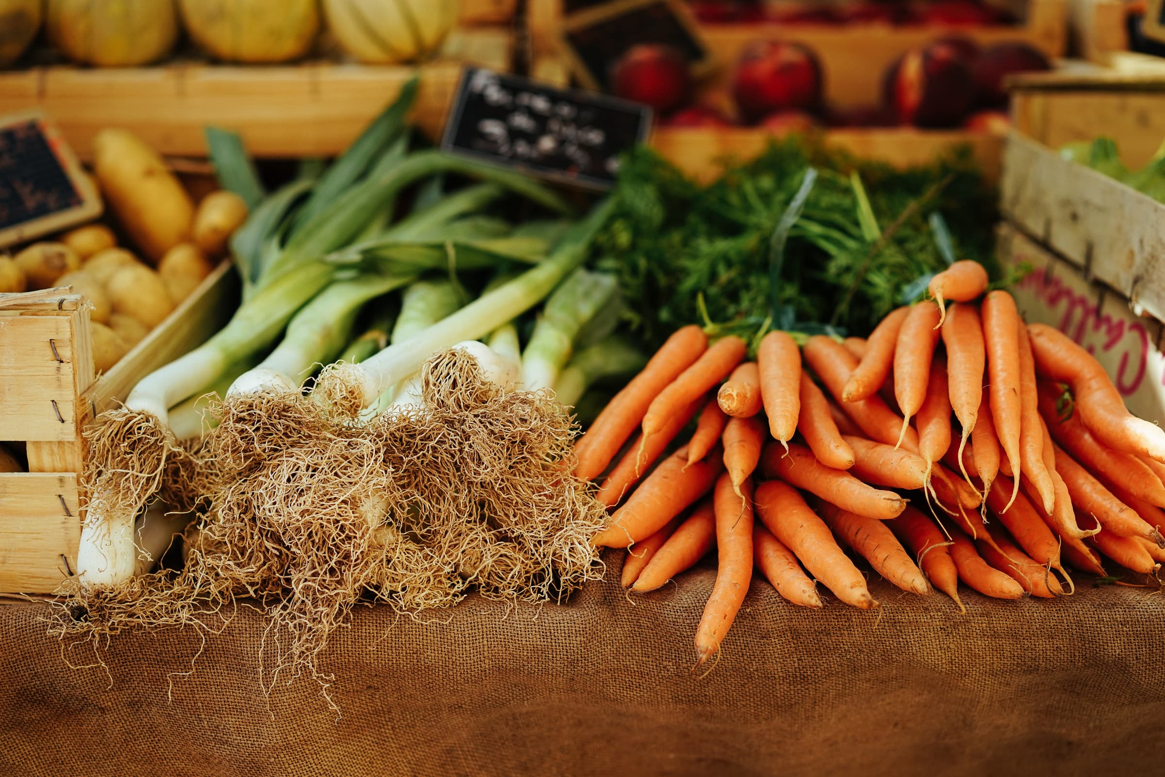BIO-Dégustation avec SOS Faim