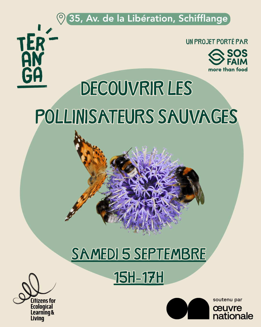Découvrir les pollinisateurs sauvages