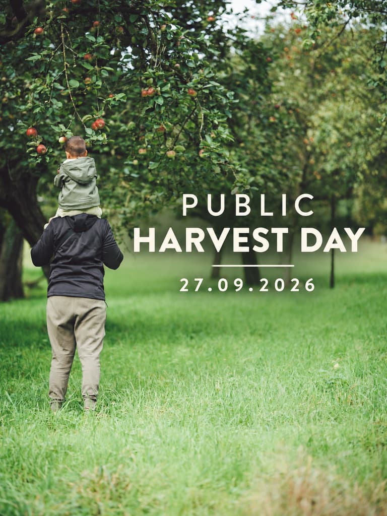 Public Harvest Day chez Ramborn - 1