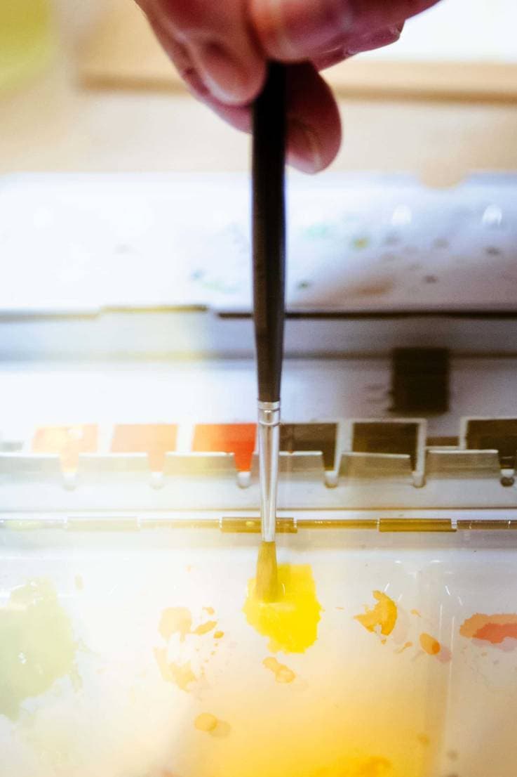 Atelier d'aquarelle. Pratique et exploration