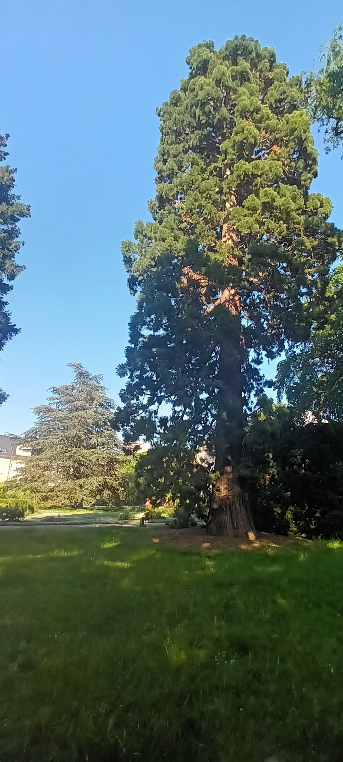 Sophro balade au Botanique