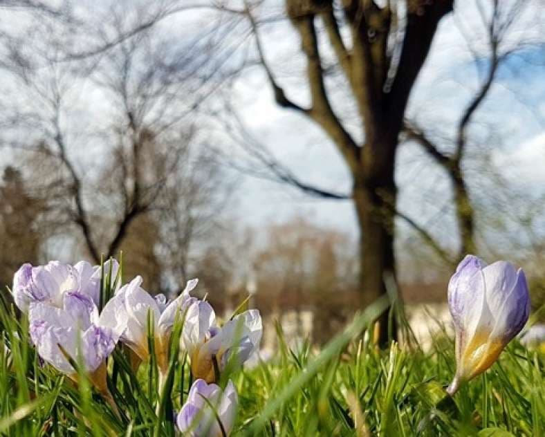 Flânerie dominicale - Visite guidée de Metz