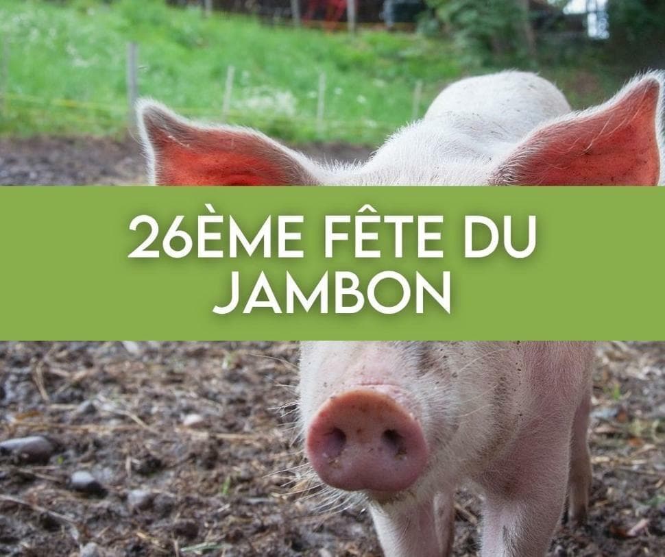 26th Ham Festival