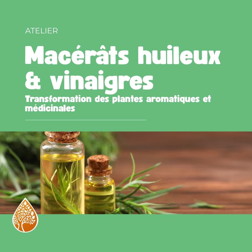 Oil Macerates Vinegars