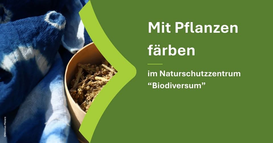 Teindre avec des plantes