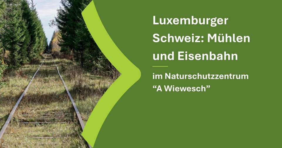 Petite Suisse luxembourgeoise : Moulins et chemin de fer (8,5 km)