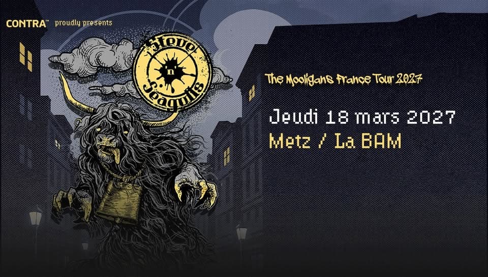 Steve’n’Seagulls • BAM • Metz