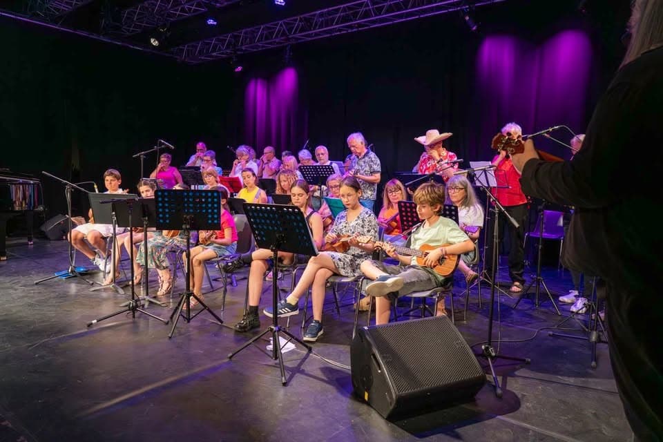 Audition des classes d’harmonica et de ukulélé de Patrick HANNAK